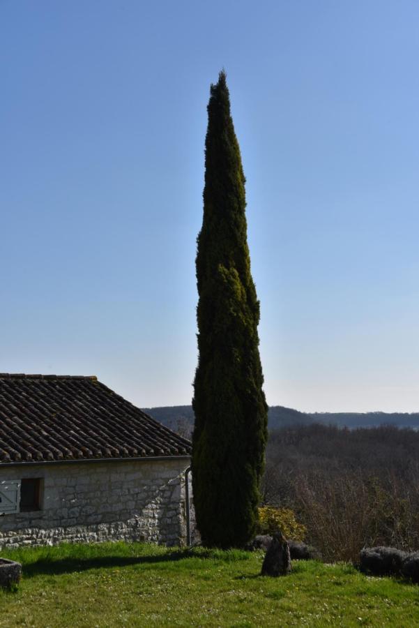 Вилла Les Collines Du Quercy Blanc Кастельно-Монратье Экстерьер фото
